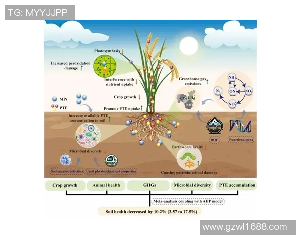 FPX快攻策略的成败分析与未来展望探讨
